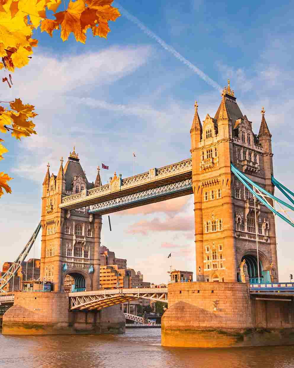 Best Local UGC Video Ads Service in the UK!