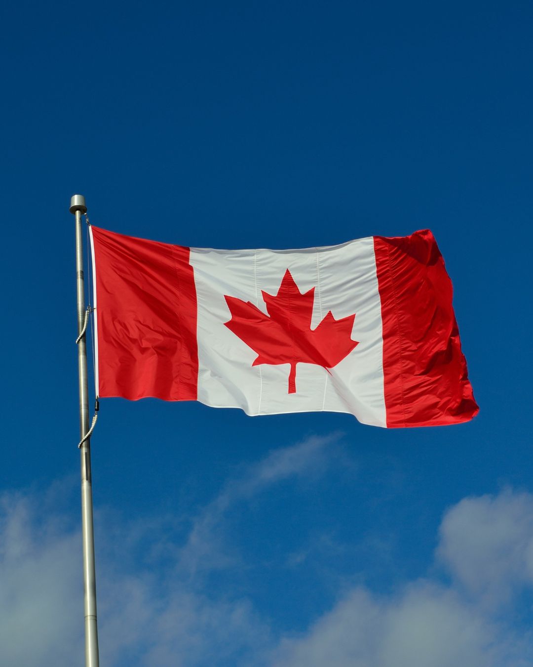 Why Choose Ayvidz for Your Video Ads in Canada?