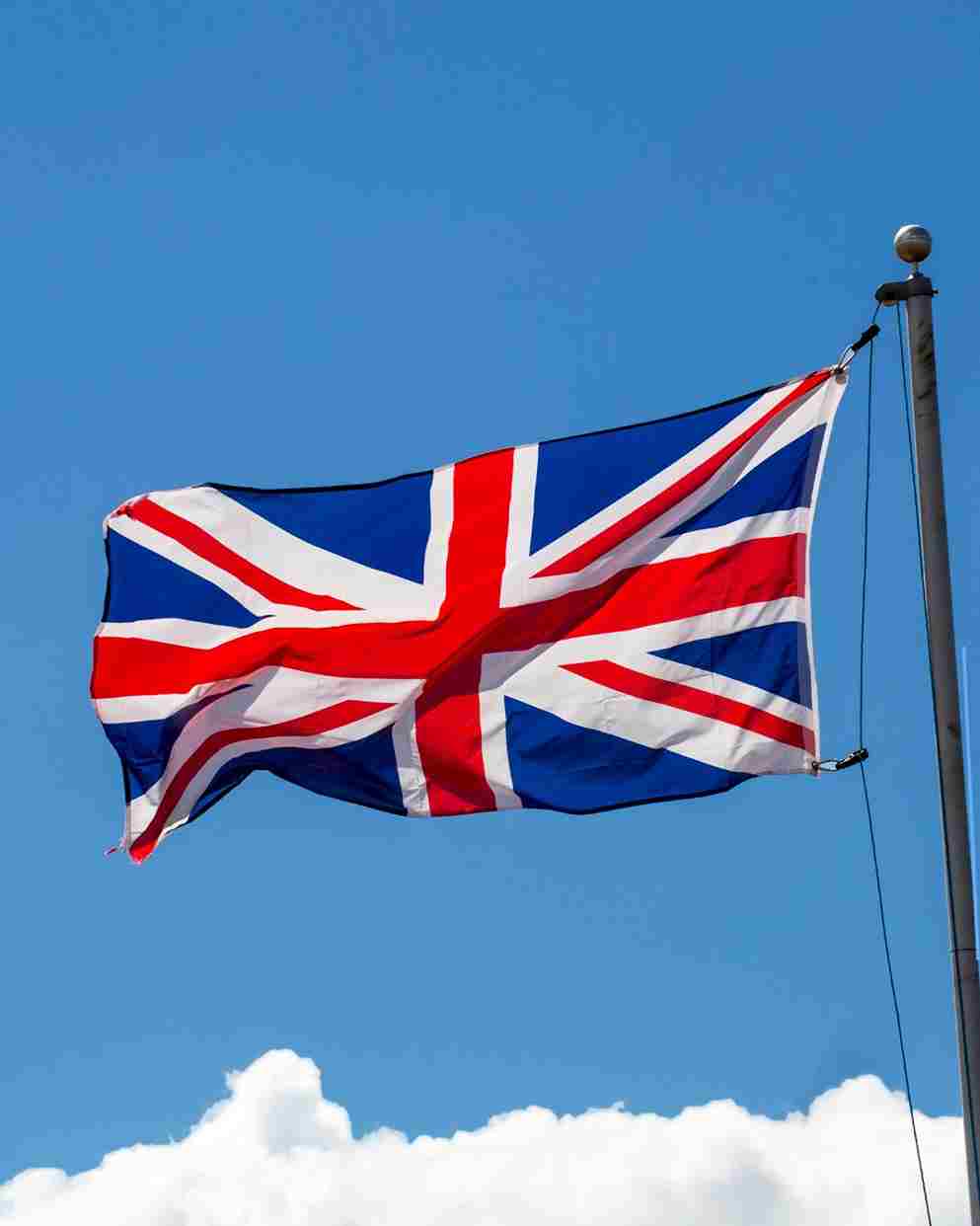 Why Choose Ayvidz for Your Video Ads in the UK!